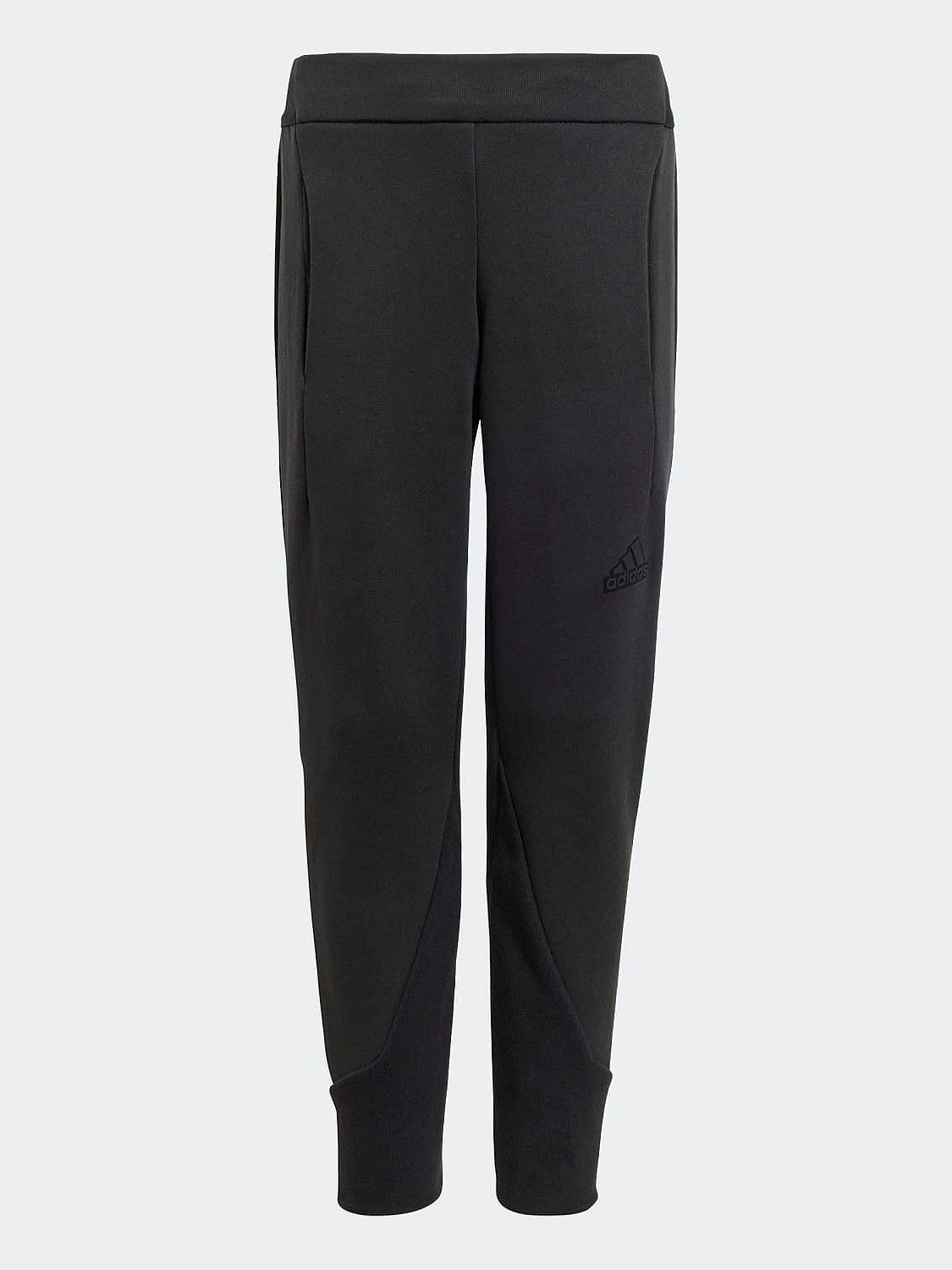 Lk Z.N.E.Pant
