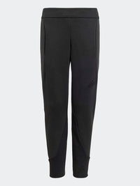 Lk Z.N.E.Pant