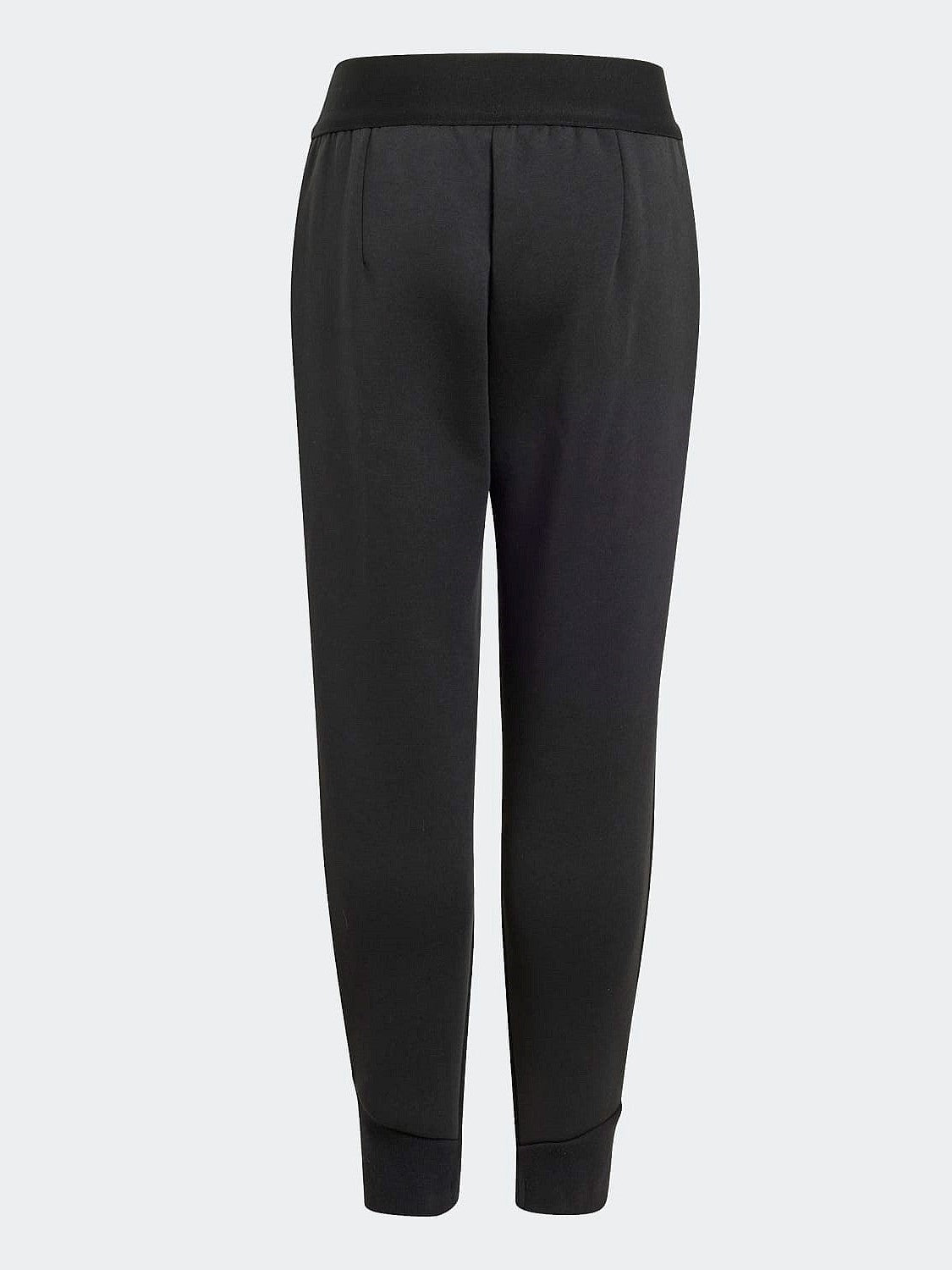 Lk Z.N.E.Pant