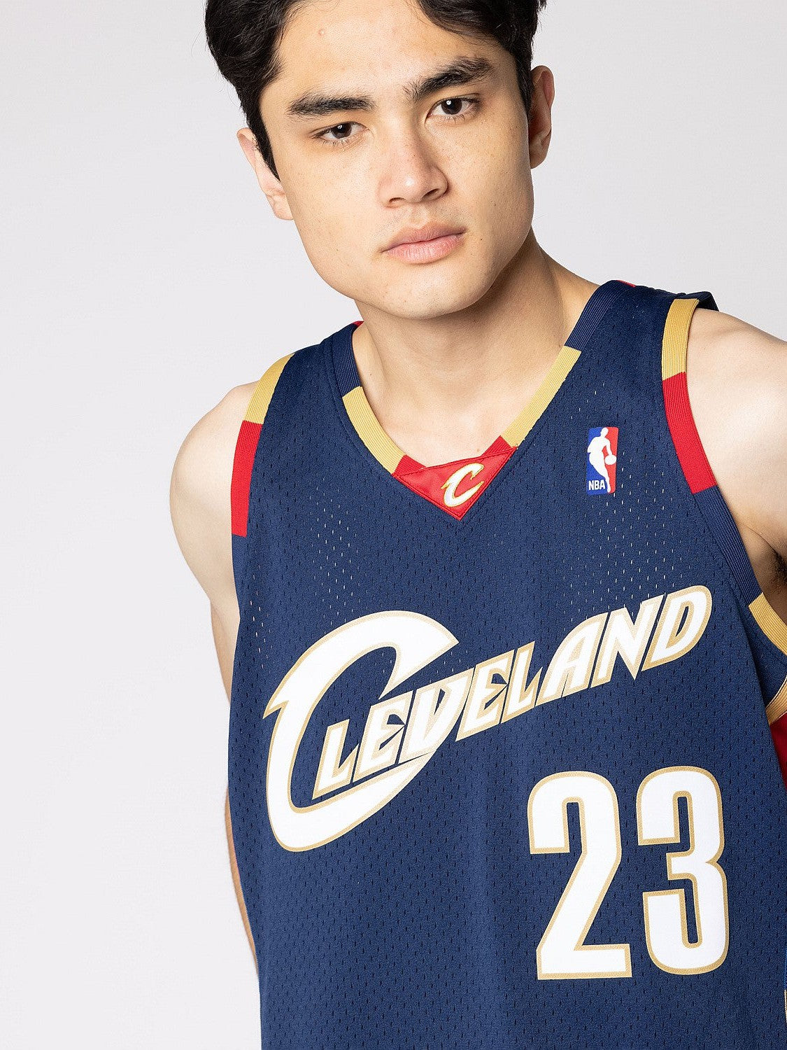 Cleveland Cavaliers Alternate 08-09 Lebron James Swingman Jersey