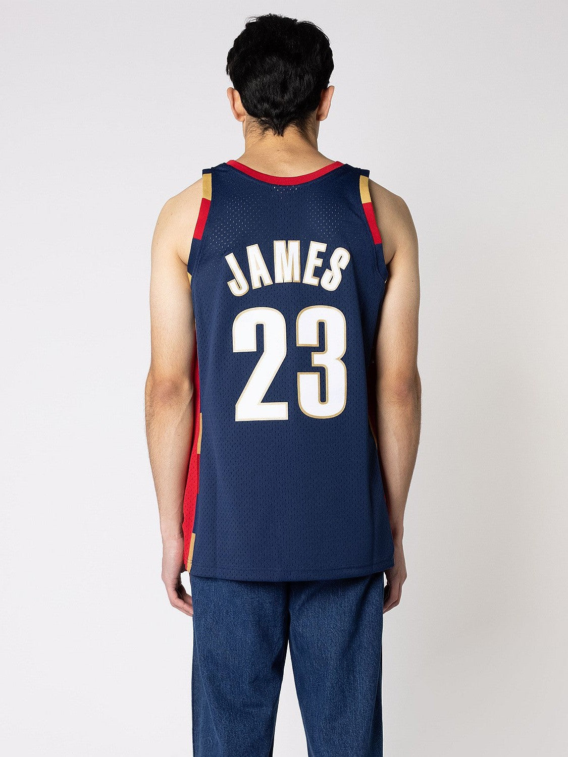 Cleveland Cavaliers Alternate 08-09 Lebron James Swingman Jersey