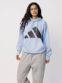 Big Logo Fleece Hoodie Unisex