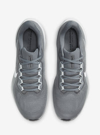 Pegasus 41 Mens