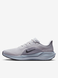 Air Zoom Pegasus 41 Mens
