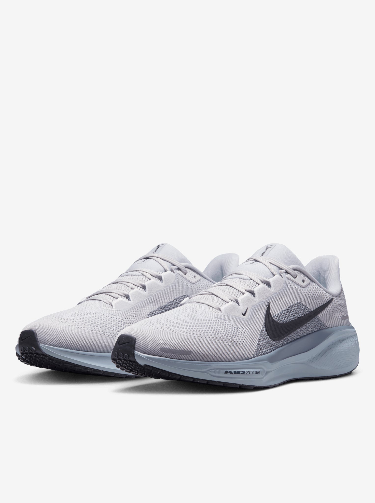 Air Zoom Pegasus 41 Mens