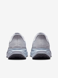 Air Zoom Pegasus 41 Mens