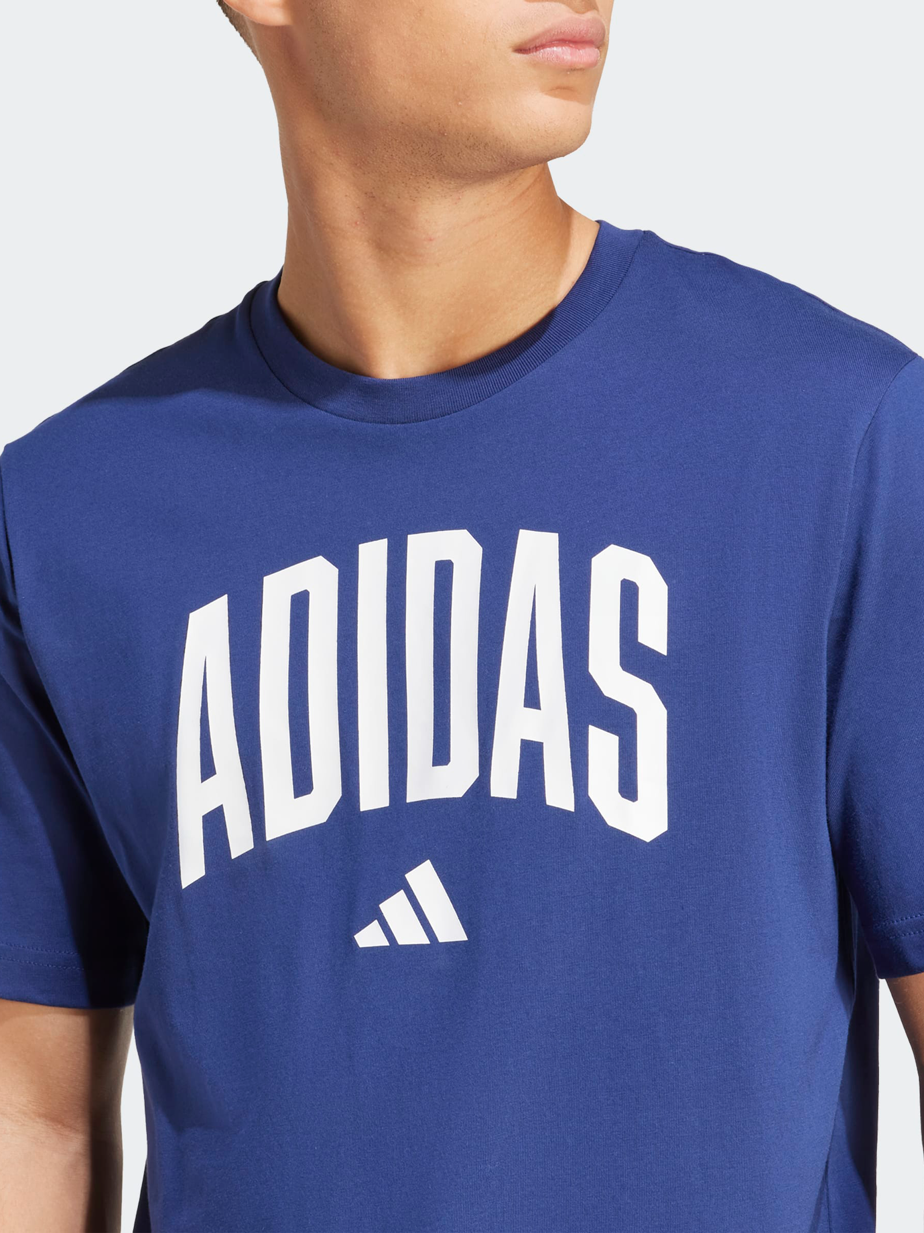 Collegiate Lineage Graphic T-Shirt