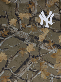 Urban Forest Crop Boxy Tee