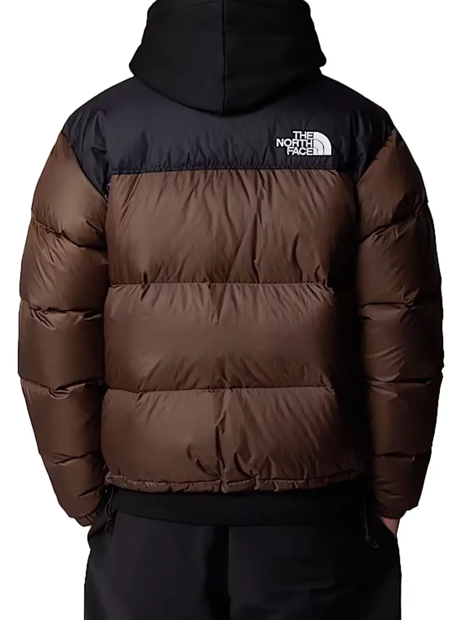 1996 Retro Nuptse Jacket