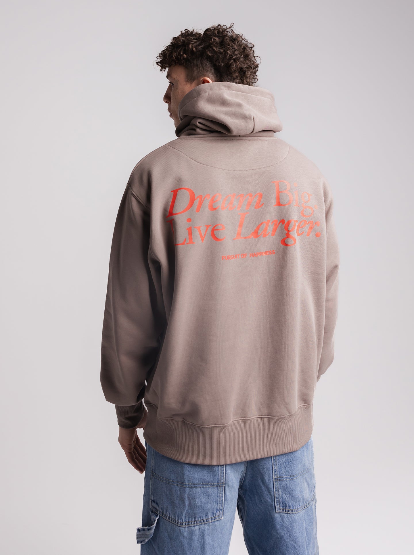 Dream Big Heavyweight Pullover In Washed Taupe