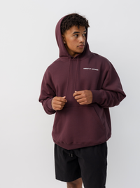 Dream Big Heavyweight Pullover in Plum