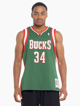 Milwaukee Bucks 13-14 Giannis Antetokounmpo Swingman Jersey