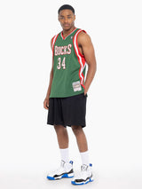 Milwaukee Bucks 13-14 Giannis Antetokounmpo Swingman Jersey