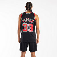 M&N SWG JER BULLS PIPPN 97-98 ALT