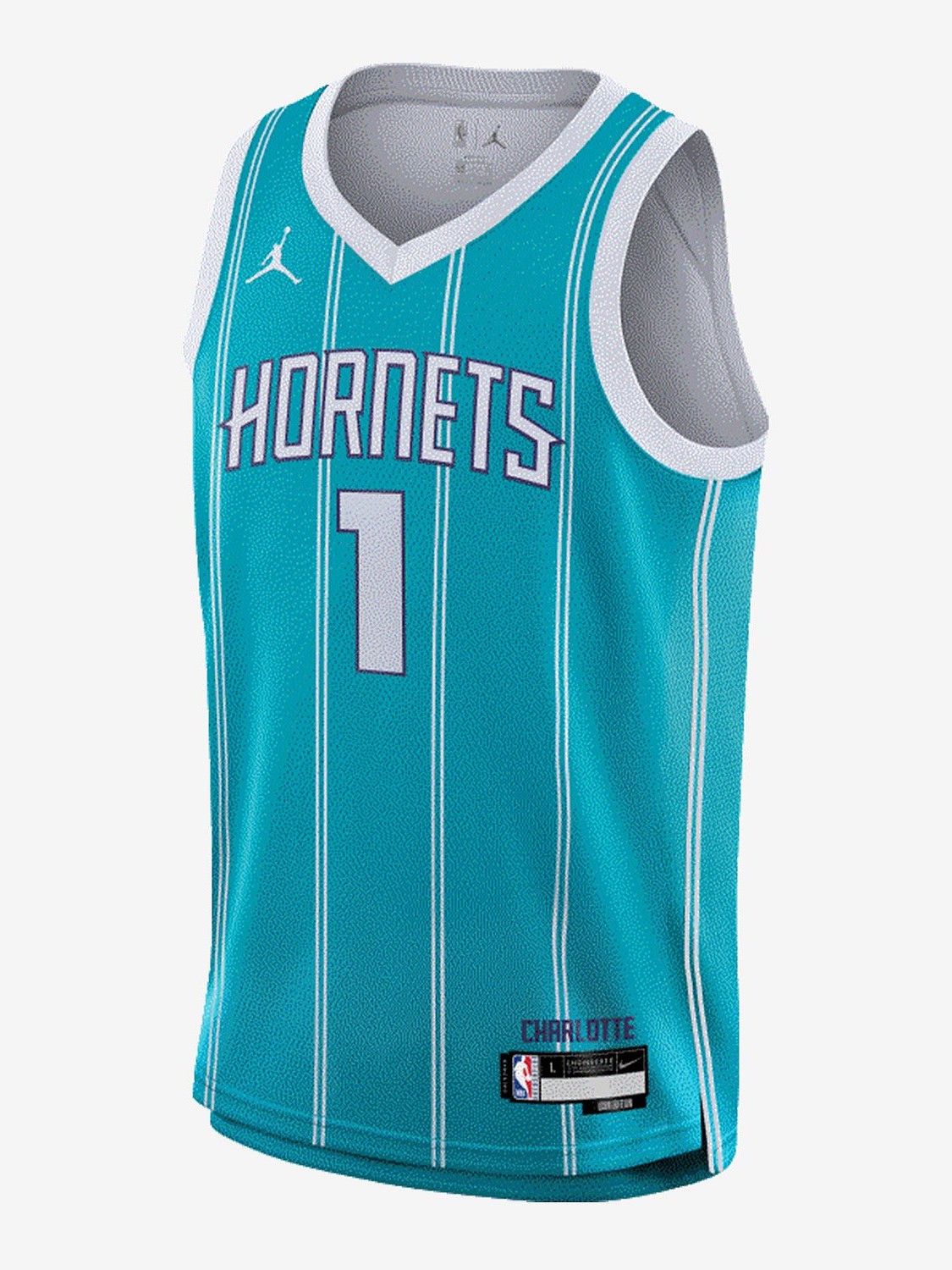 Icon Swingman Jersey Charlotte Hornets Youth