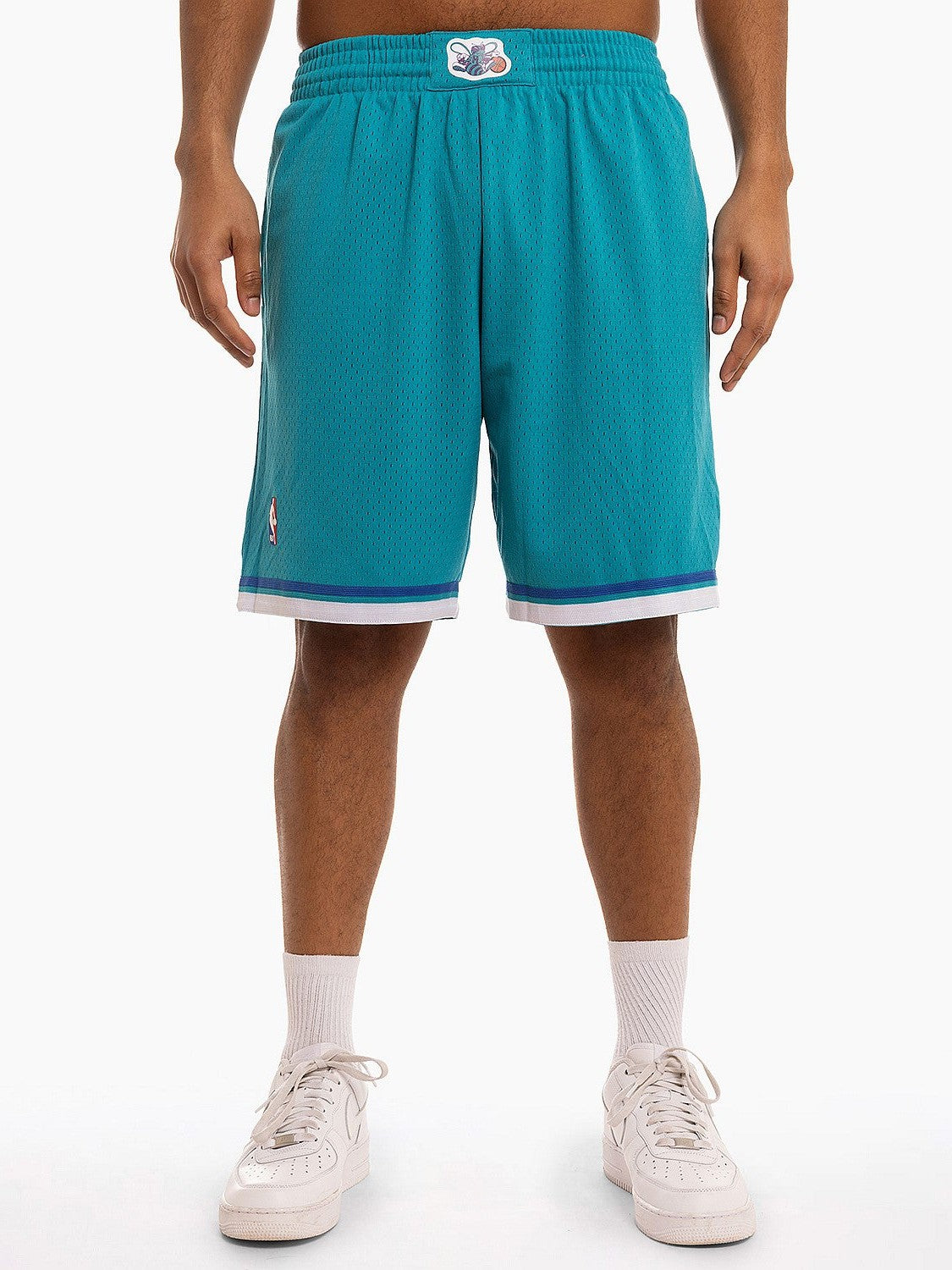 Charlotte Hornets 92-93 Swing Shorts