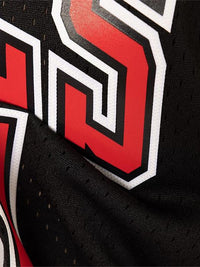 Chicago Bulls 97-98 Dennis Rodman Swingman Jersey