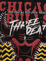 Chicago Bulls Accolades Hoodie