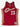 M&N Swg Jer Cavs - James 03-04 Home