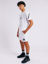 Z.N.E. Shorts