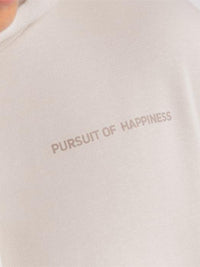 Dream Big Heavyweight Pullover In Sand