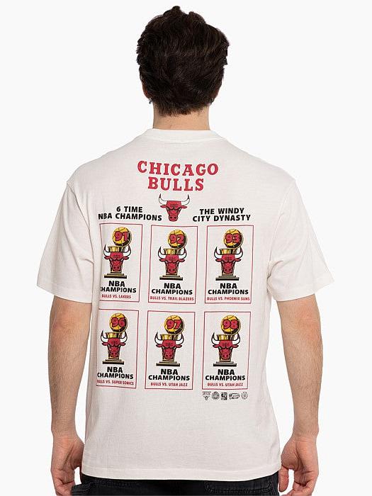 Chicago Bulls Stadium Banner Tee