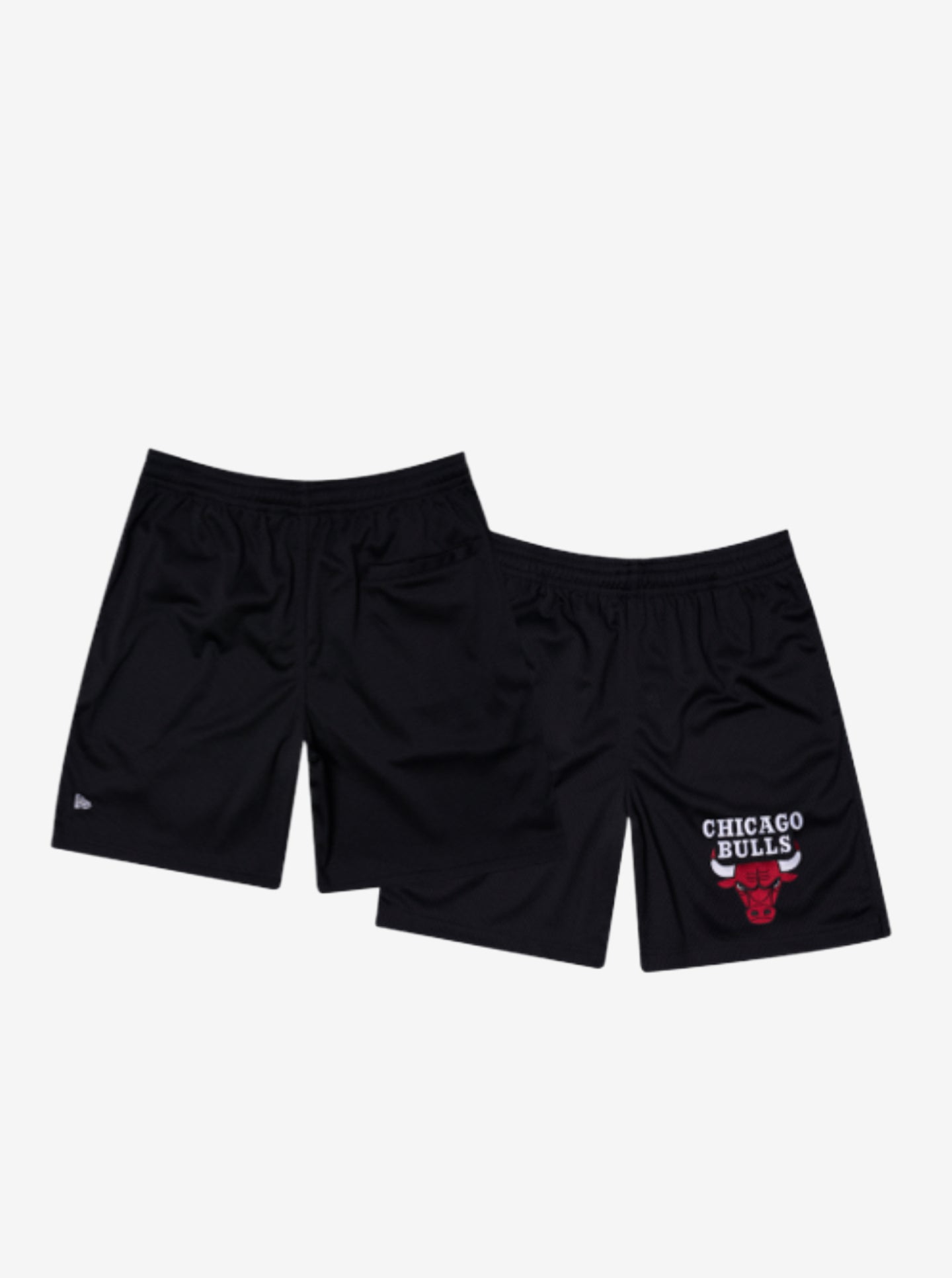 Chicago Bulls Mesh Shorts