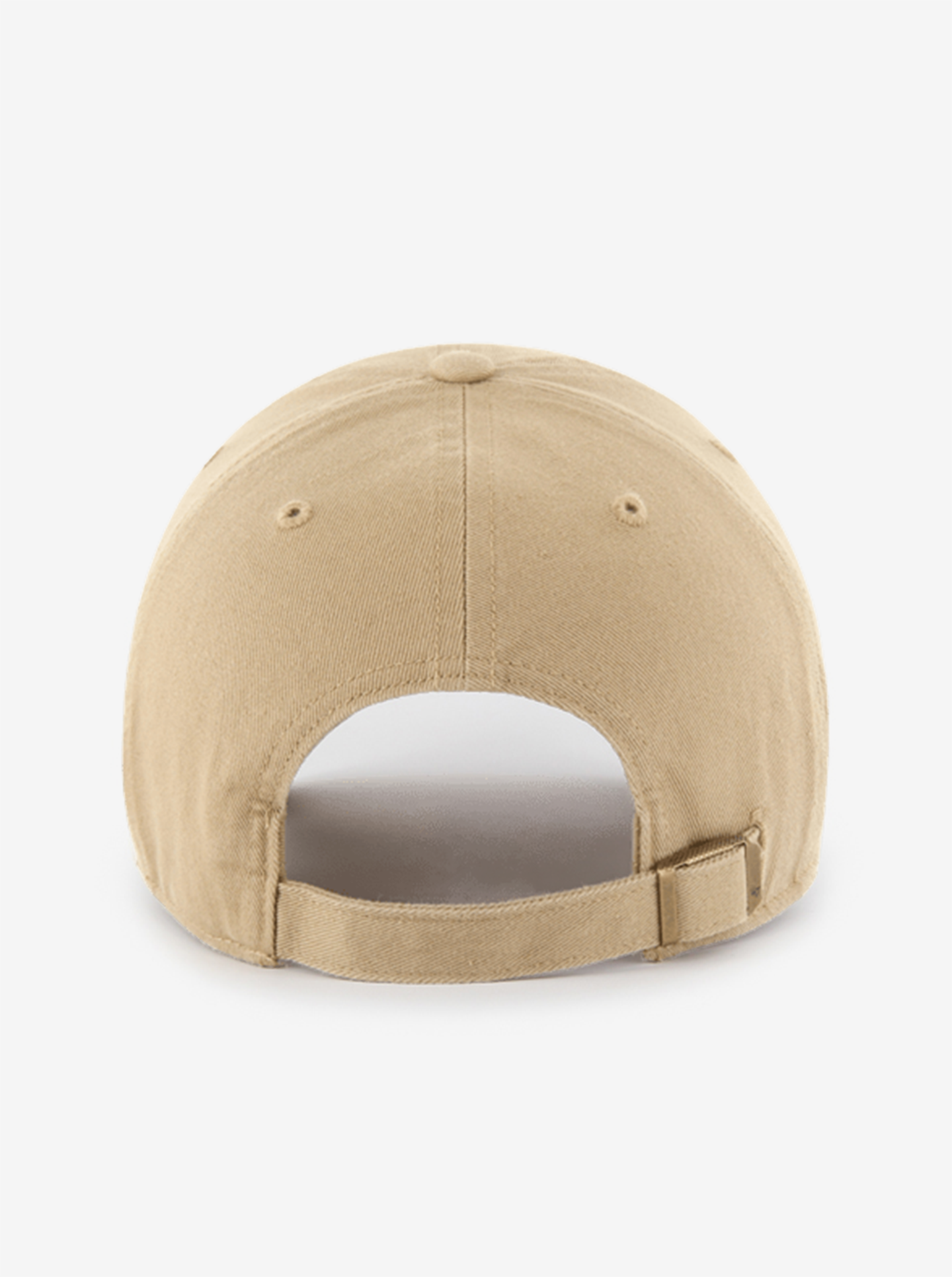 Chocolate Lab '47 Clean Up Cap