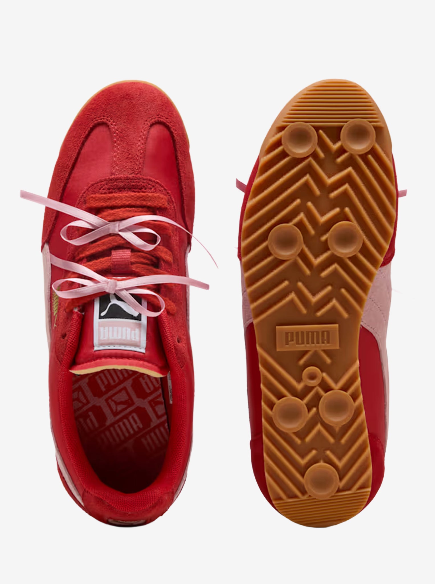 Arizona Womens
