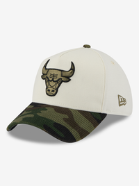3930 A-Frame Chicago Bulls Fitted Cap