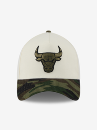 3930 A-Frame Chicago Bulls Fitted Cap
