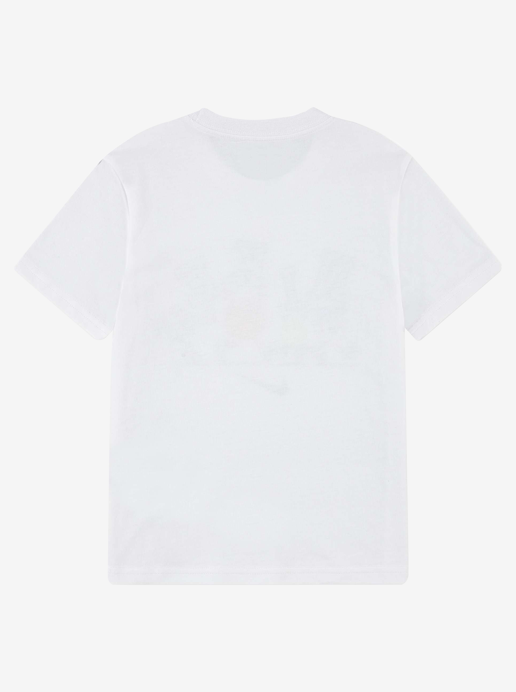Multi Sportsball Tee