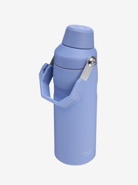 IceFlow Bottle with Fast Flow Lid 24oz