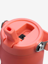 IceFlow Bottle with Flip Straw Lid 24oz