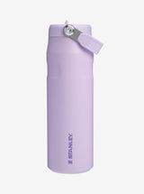 IceFlow Bottle with Flip Straw Lid 24oz