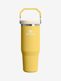 IceFlow Flip Straw Tumbler 2.0 30oz