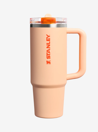 Stanley The Quencher ProTour Flip Straw Tumbler? - Orange Sherbet