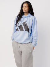 Big Logo Fleece Hoodie Unisex