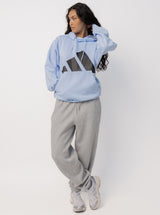 Big Logo Fleece Hoodie Unisex