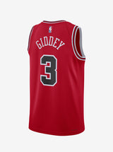 NBA Chicago Bulls Josh Giddy #3 Icon Edition Swingman Jersey