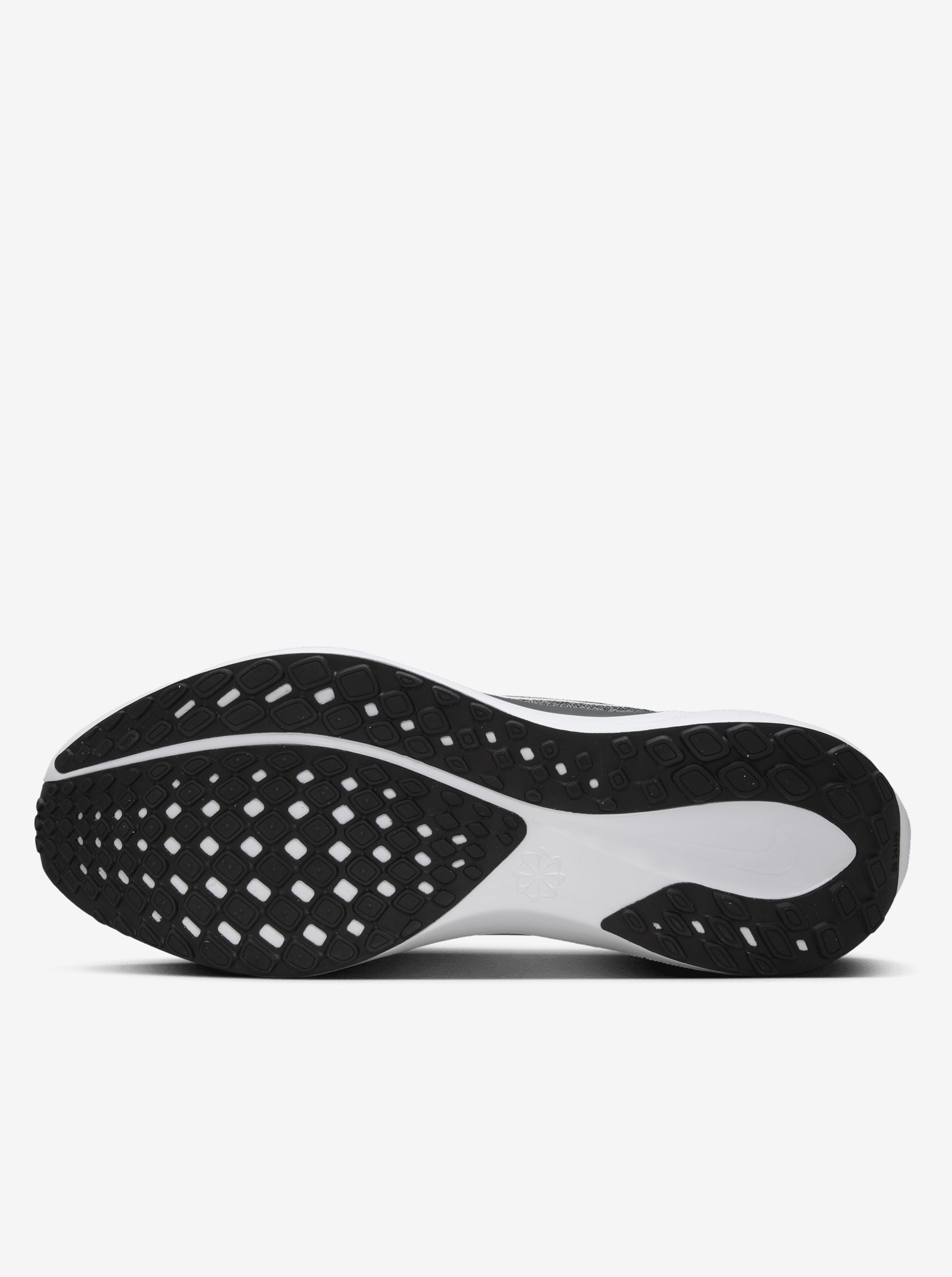 Pegasus 41 Mens