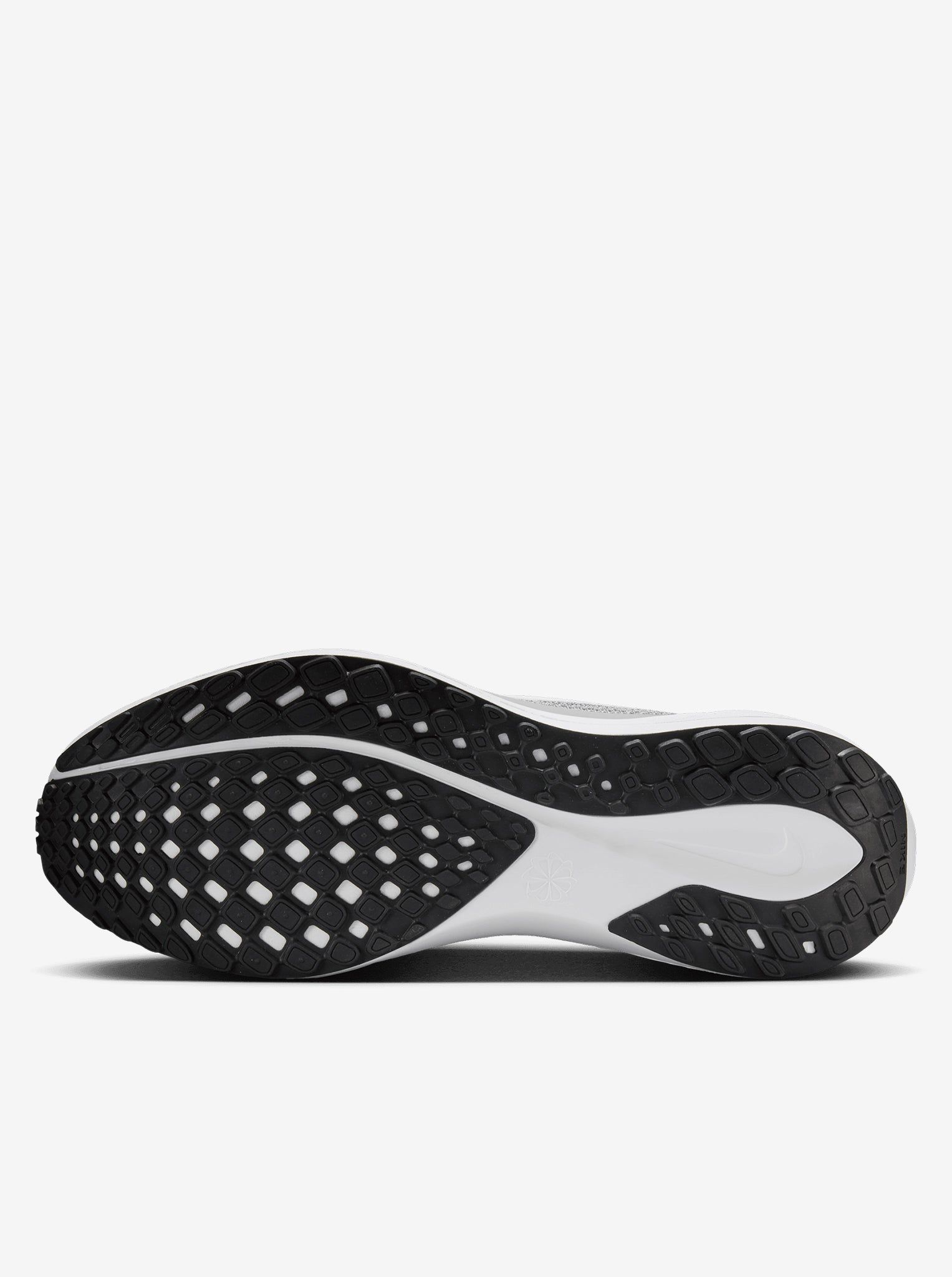 Pegasus 41 Mens
