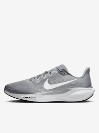 Pegasus 41 Mens