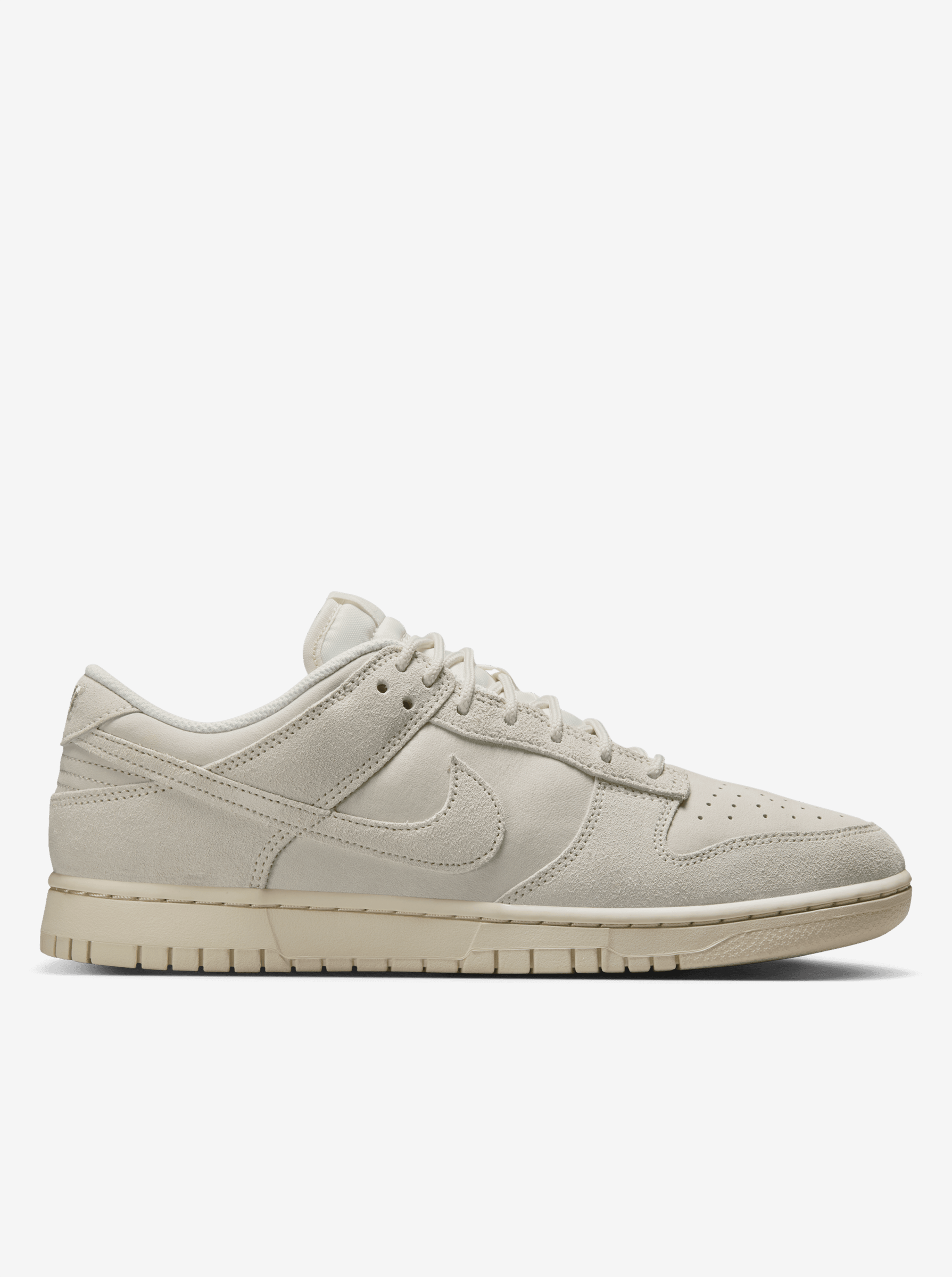 Dunk Low Retro SE Mens