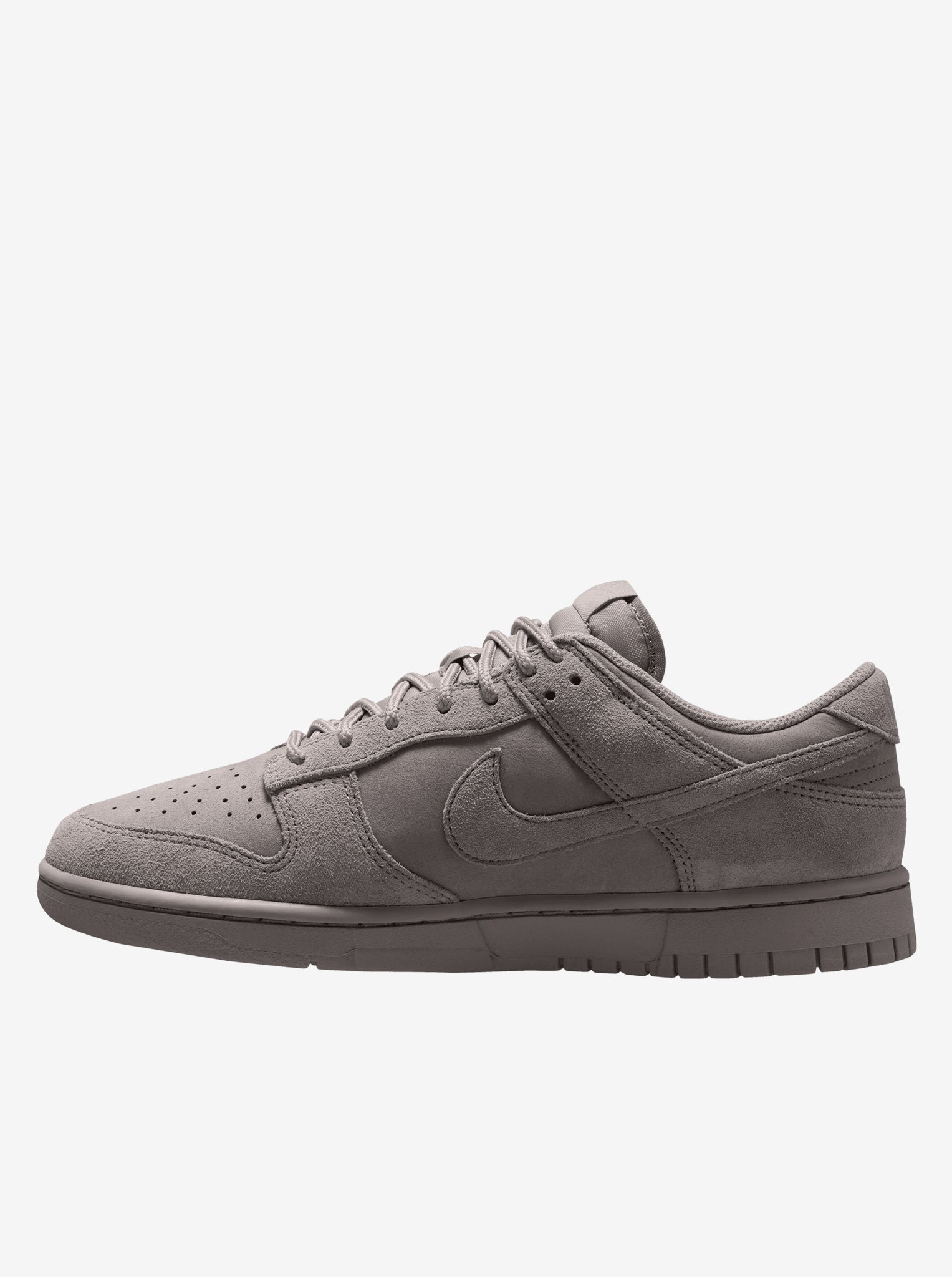Dunk Low Retro SE Mens