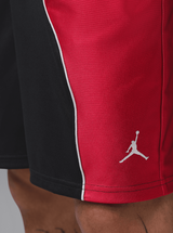 Jordan Dry-FIT Y2K Shorts