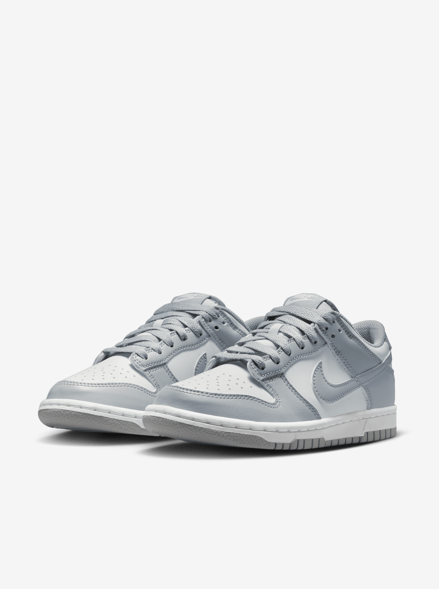 Dunk Low Youth