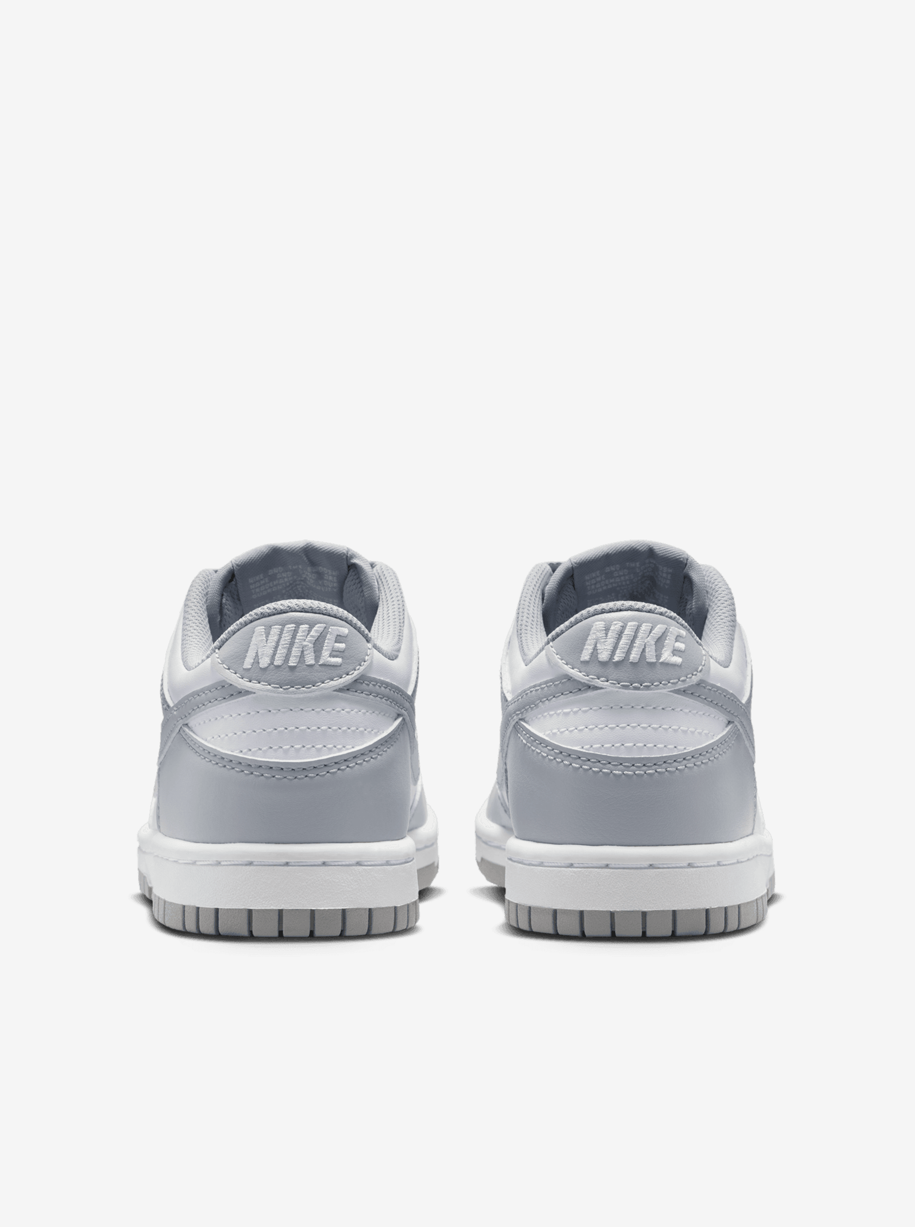 Dunk Low Youth