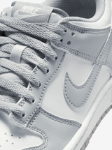 Dunk Low Youth