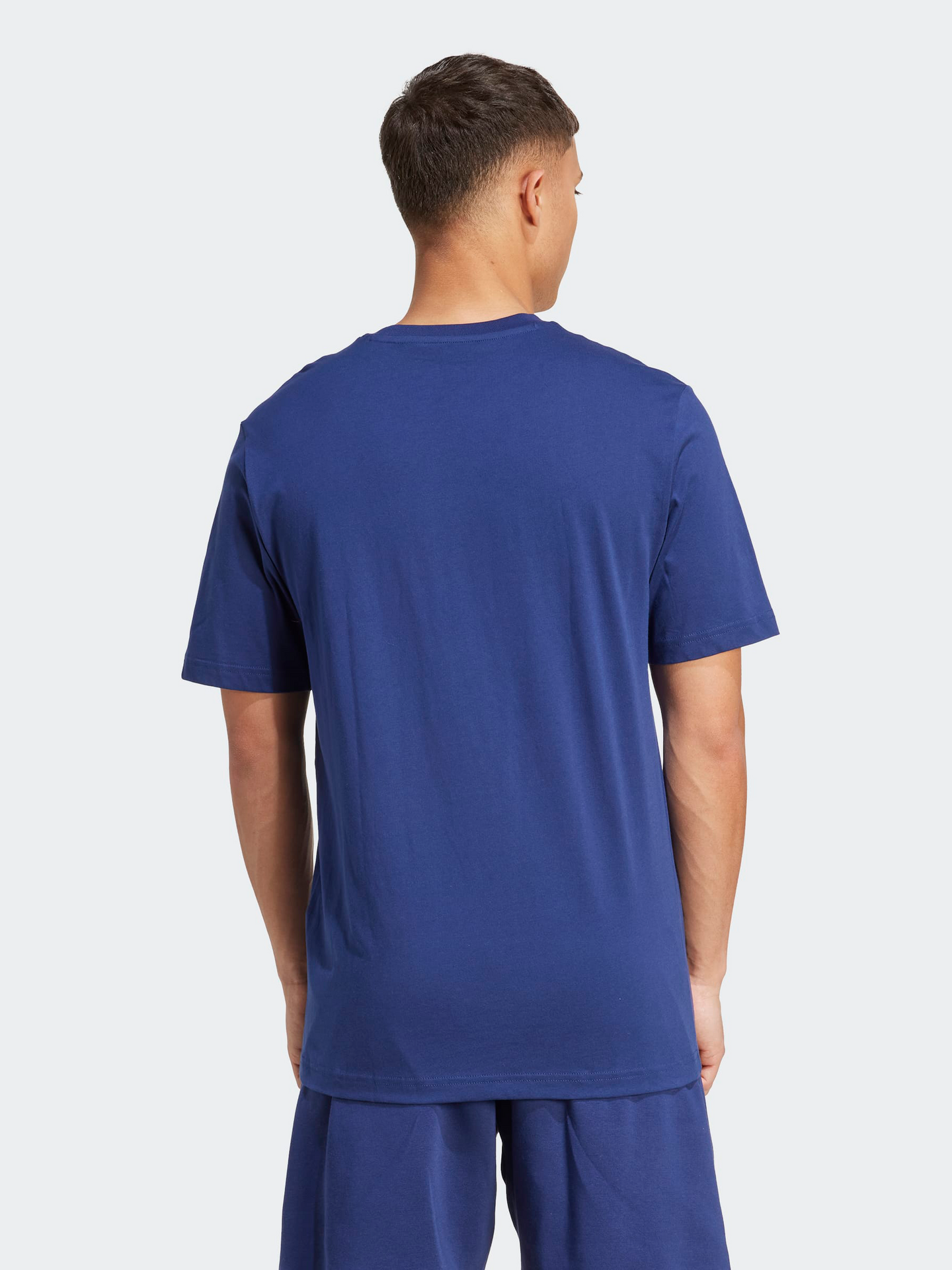 Collegiate Lineage Graphic T-Shirt
